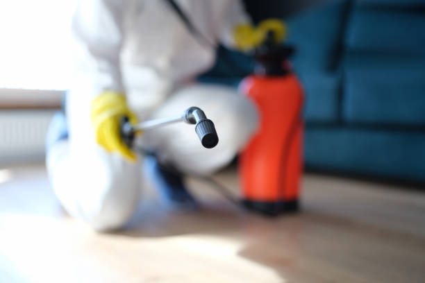 Best Airborne Mold Testing  in Conyngham, PA